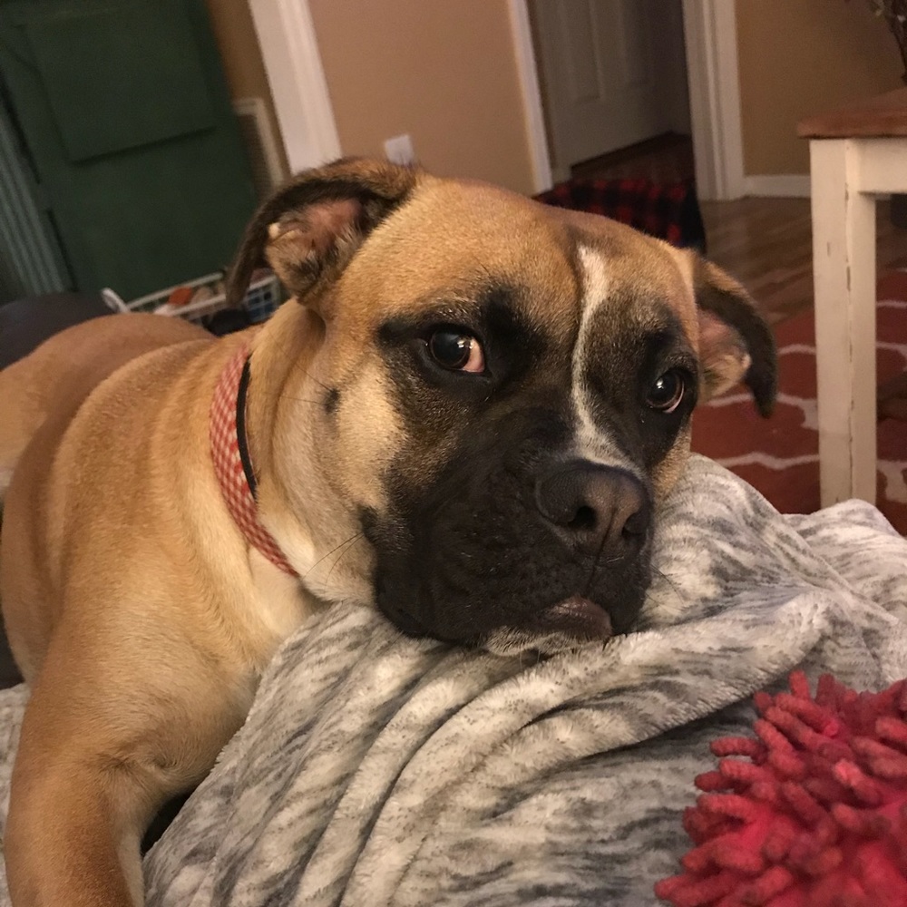 Meet your Posher, Keleigh